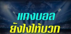 แทงบอลยังไงให้บวก
